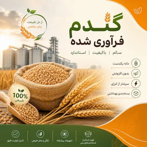 گندم فرآوری شده