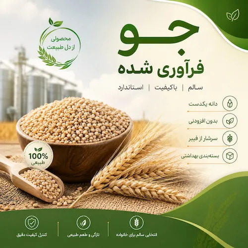 جو فرآوری شده