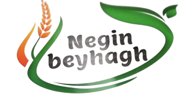 نگین بیهق